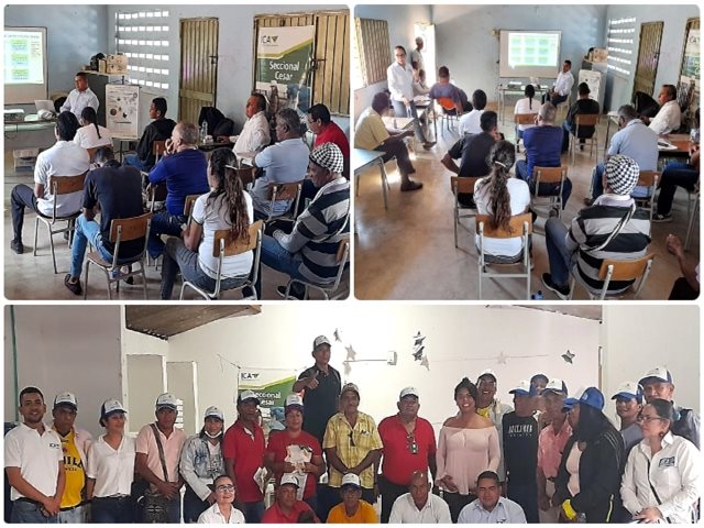  En Cesar, el ICA capacitó a productores de plátano y cacao en la certificación de buenas prácticas agrícolas 
