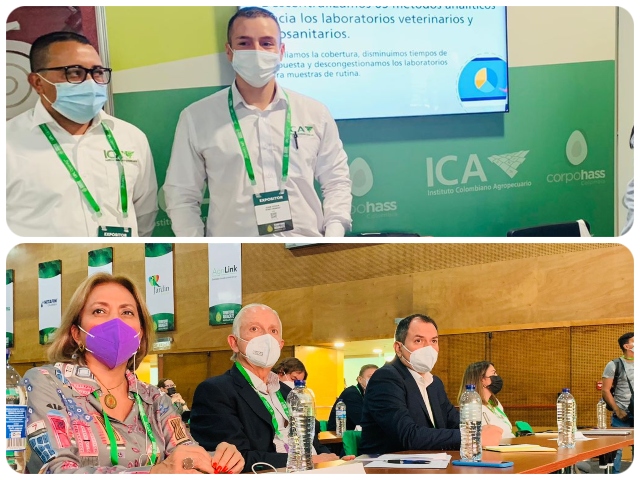 Participación en  Territorio Aguacate