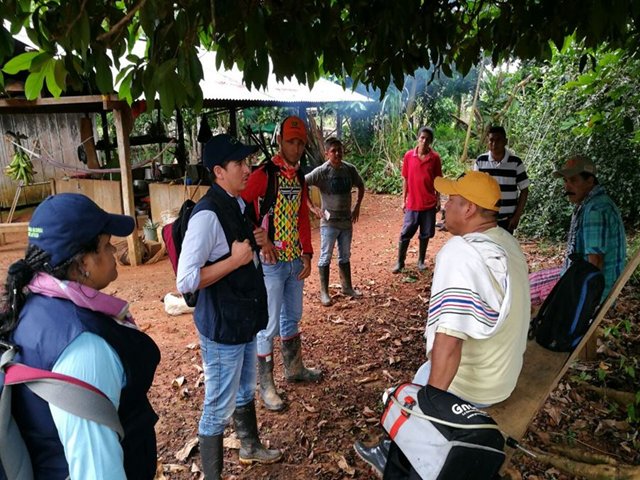 Resguardo indígena del Guaviare trabaja con el ICA para mejorar sus cultivos de plátano 