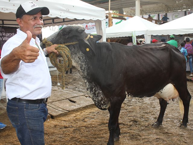 En Atlántico se vacunó el 100% del ganado bovino y bufalino contra la fiebre aftosa 