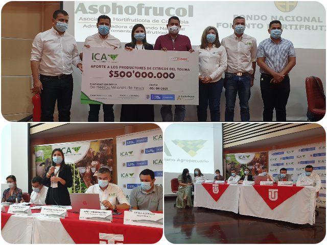 El ICA y Asohofrucol firmaron un convenio de 500 millones de pesos para la prevención del HLB de los cítricos
