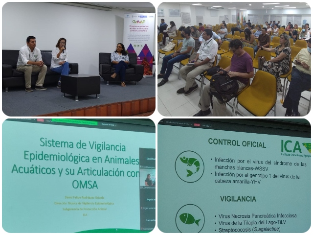 conversatorio sobre bioseguridad y bienestar animal en cultivos de tilapia.
