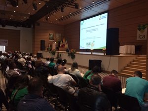 HLB_Quindio-2.JPG