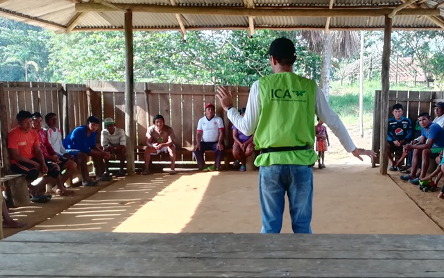 En el Vaupés, el ICA adelanta acciones para prevenir la rabia de origen silvestre 