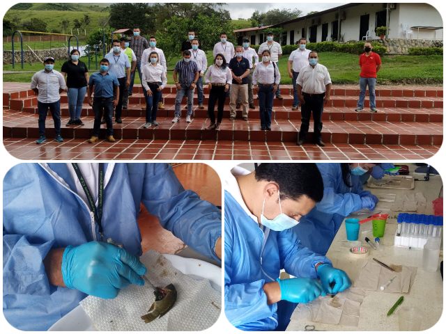 Tilapia de calidad desde el Huila para el mundo 