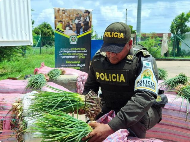  Aprehensión en Buenaventura, Ipiales y Riohacha
