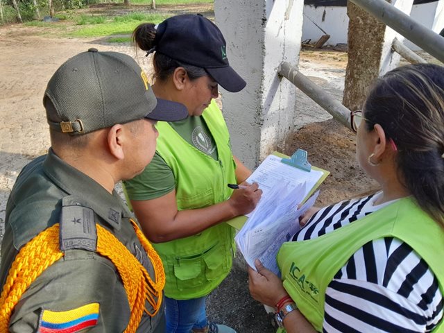 ICA y Policía garantizan la sanidad de los animales con destino a la planta de beneficio en Guainía