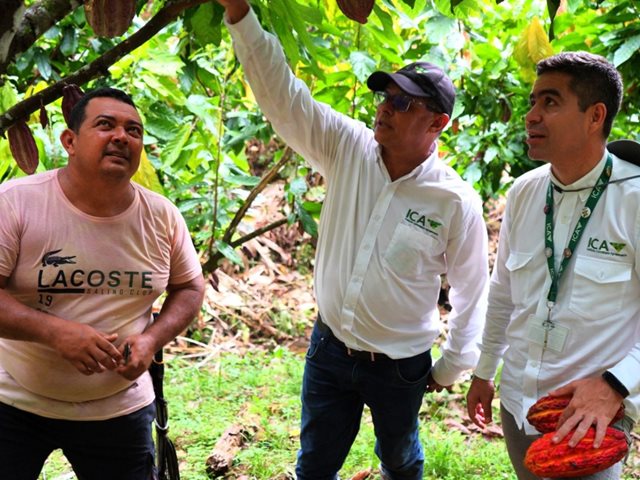 Productores de cacao, maracuyá y plátano.