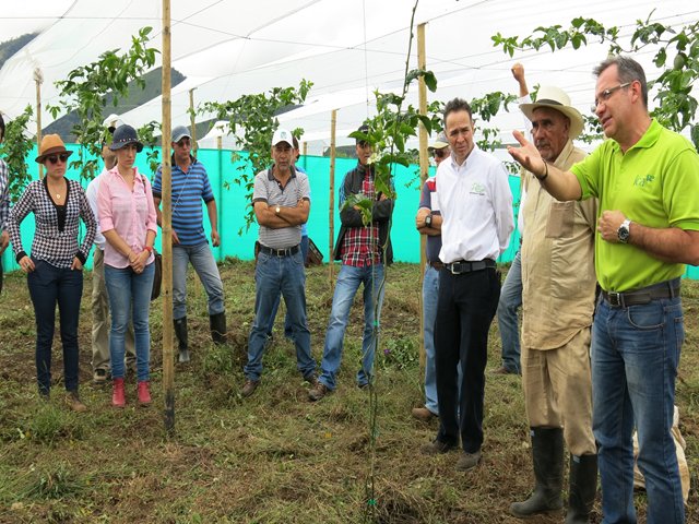 Entidades del sector  apoyan agricultores de Urrao, Antioquia 