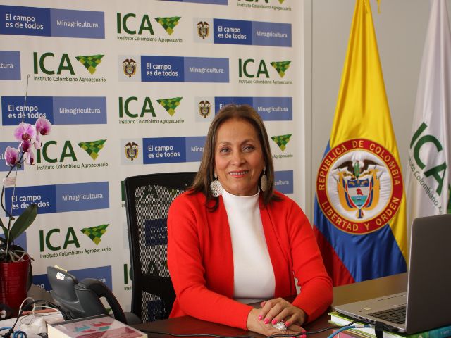 Foto-ICA-lanzamiento-SimplifICA-3.jpg