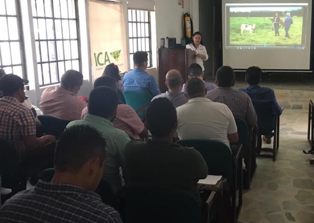 En Santander, 46 inscritos al sistema de autorización de los programas de brucelosis y tuberculosis bovina 