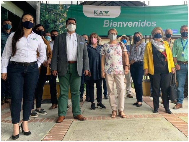 Balance de gestión público privada para gestionar áreas libres y de baja prevalencia del HLB de los cítricos