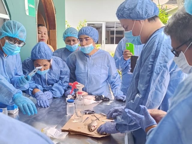 ¡La toma de muestras, clave para garantizar la sanidad animal en Amazonas!