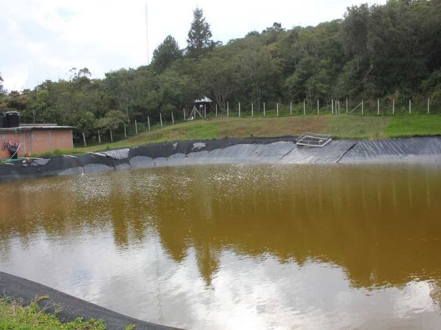 Productores de peces en Caldas, avanzan en la implementación de Buenas Prácticas Acuícolas 