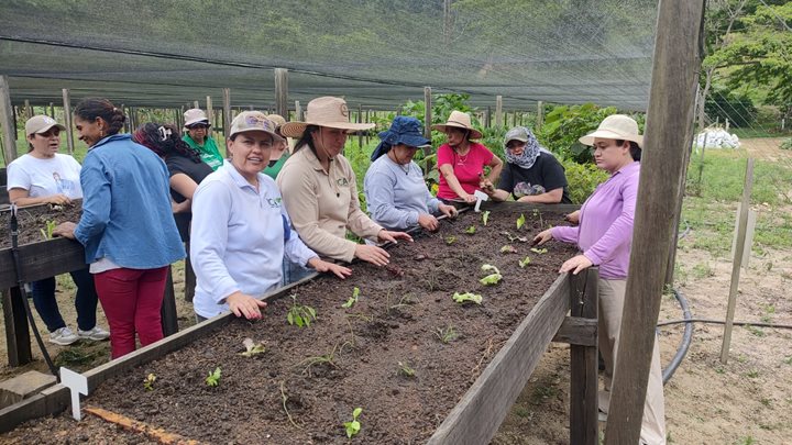 ICA-ANTIOQUIA-2182026.jpeg