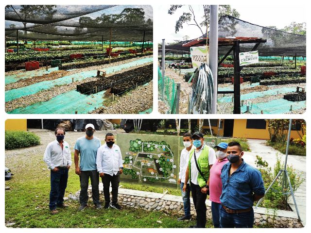 Visita de verificación en vivero por parte del ICA.