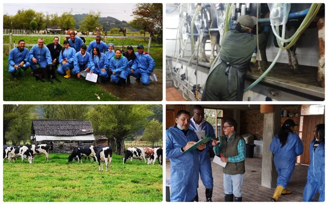 El ICA fortalece sus conocimientos en inocuidad e insumos veterinarios a nivel nacional