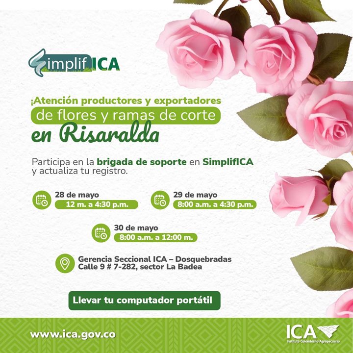 FLORES-RISARALDA.jpeg
