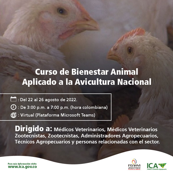 Aves-de-corral-_mailing.jpg Aves-de-corral-_mailing.jpg