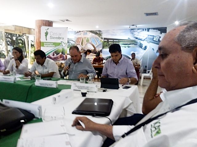 A través del Consea, el ICA trabaja por la producción agropecuaria en el Cesar 