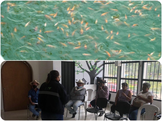Con visitas de inspección el ICA fortalece los predios acuícolas de Santander 