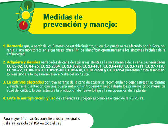 MEDIDAS-ALERTA-10.png