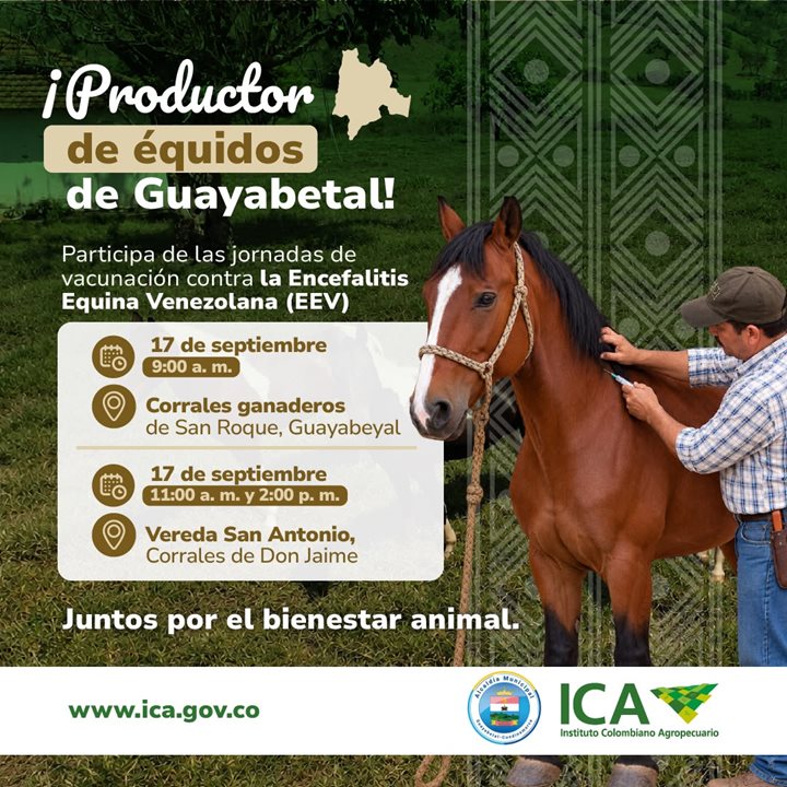 GUAYABETAL.jpeg