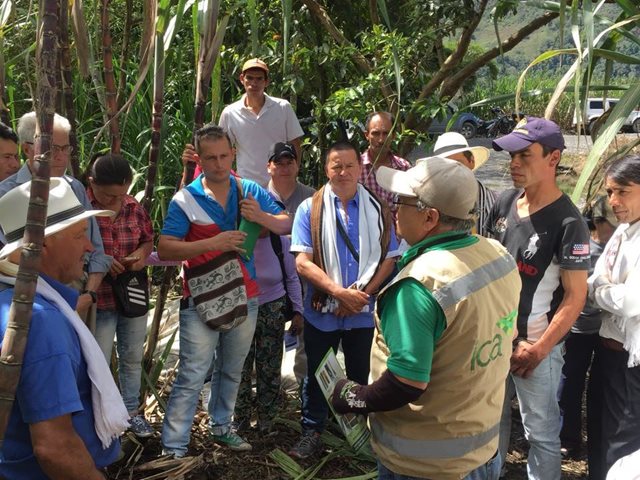 Agroempresarios de Rionegro, Cundinamarca, trabajan para tecnificar sus cultivos 