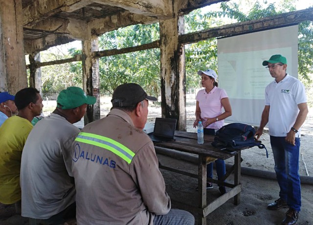 Productores de guayaba en Palmar de Varela. 