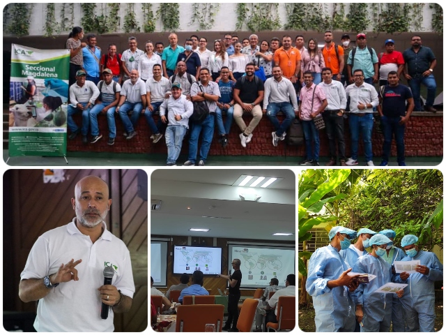 Taller de Fortalecimiento en vigilancia Fitosanitaria de la Marchitez FOCR4T