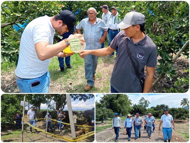 Socialización de Buenas Prácticas Agrícolas. 