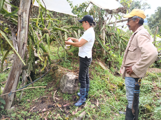 Foto-1-ICA-Boyaca-Vegetal.png