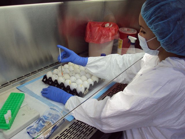 Laboratorios del ICA con reconocimiento internacional