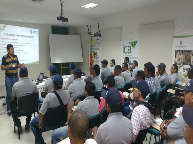 El ICA y PorkColombia capacitaron a vacunadores en inicio del ciclo de vacunación contra la peste porcina clásica en Sucre
