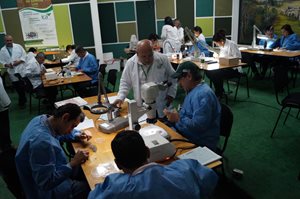 Taller-semillas-Meta-3.JPG