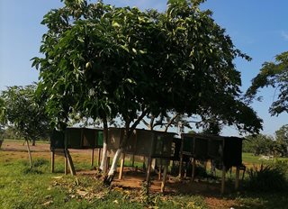 FOTO-3-1.jpg