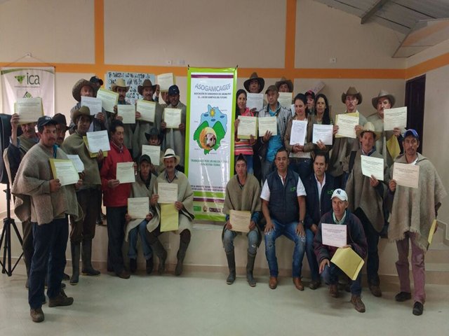 Más hatos lecheros libres de tuberculosis bovina