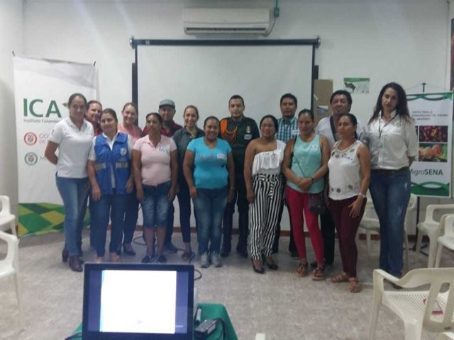 Productores avícolas en el Amazonas trabajan para tecnificar sus granjas 