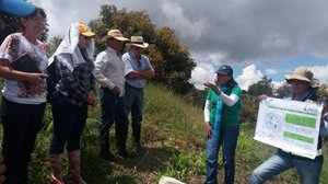 ICA-capacita-a-los-cultivadores-de-aguacate-hass-de-Antioquia-para-el-ingreso-de-la-fruta-a-mercados-internacionales-3.jpg