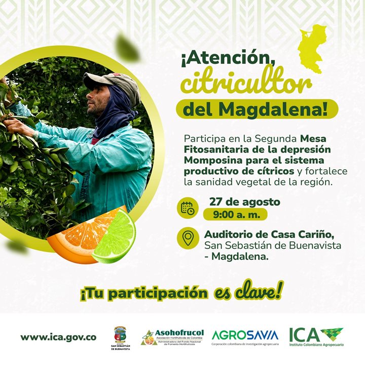 CITRICOS-MAGDALENA.jpeg