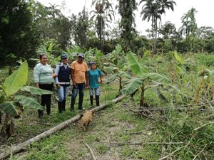 Fotos-MokoPlatano_Putumayo-1.jpg