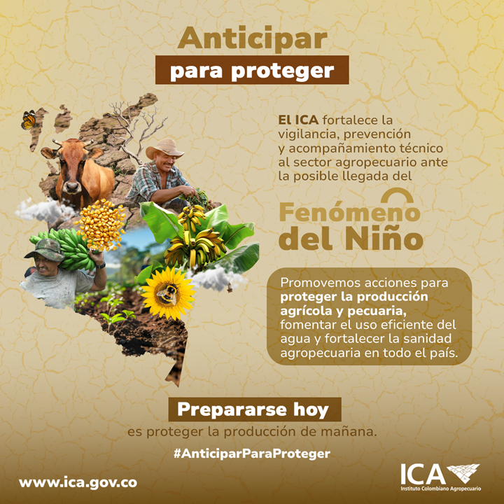 Boletin-Fenomeno-del-Nino.png Boletin-Fenomeno-del-Nino.png