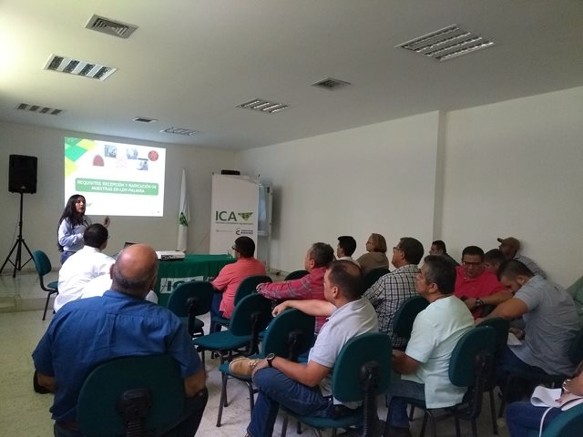 Con la Libreta Sanitaria Equina, LSE,  el ICA facilita la movilización de équidos en el Valle del Cauca