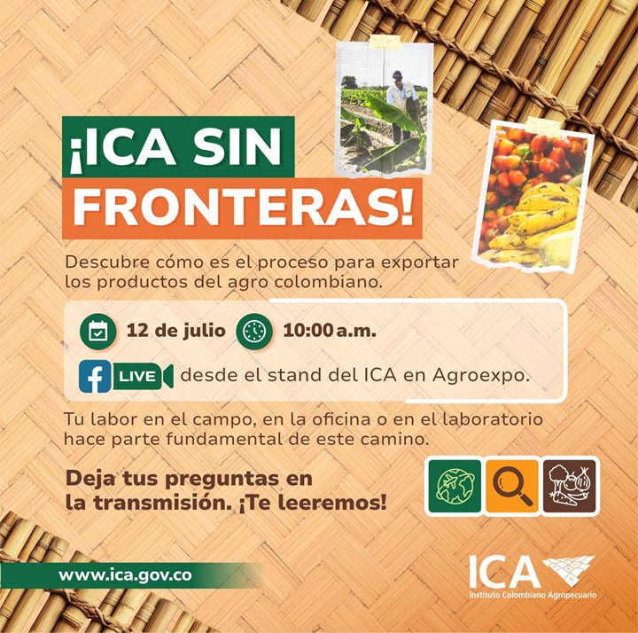 ICA-SIN-FRONTERAS.jpeg