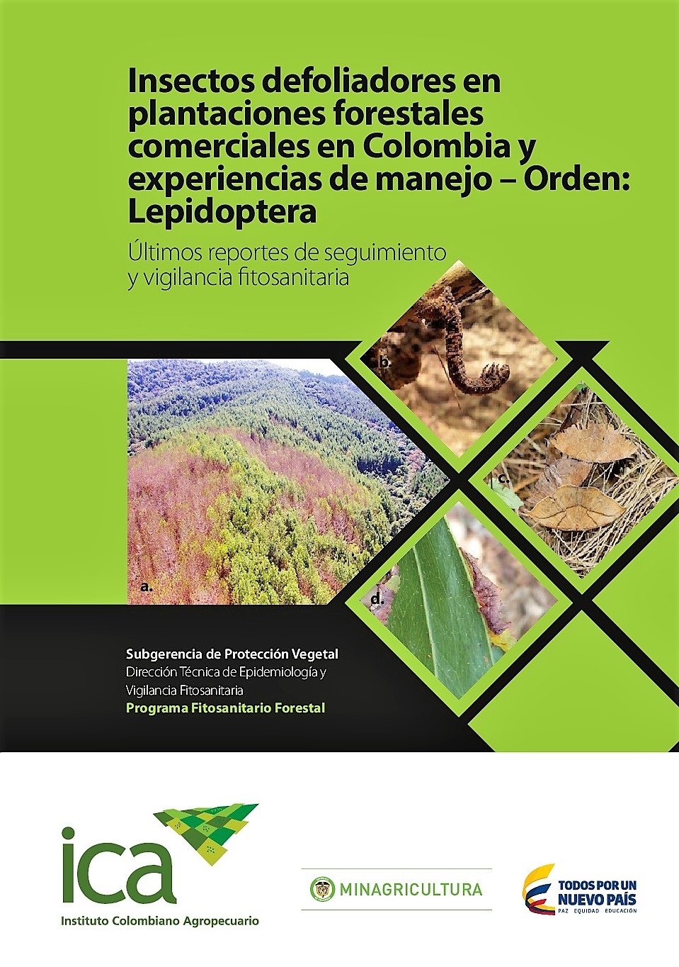 Imagen de Insectos desfoliadores en plantaciones forestales comerciales en Colombia y experiencias de manejo - Orden: Lepidoptera