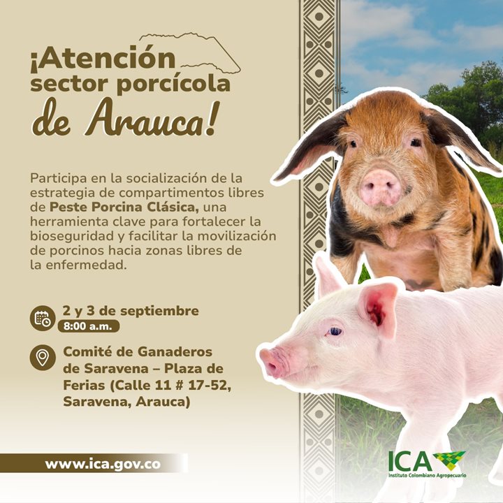 ARAUCA.jpeg
