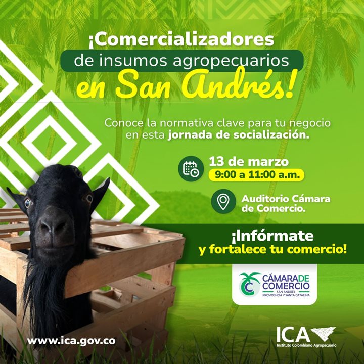 SANANDRES-INSUMOS-AGROPECUARIOS.jpeg