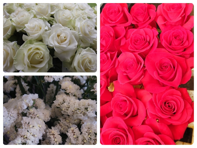 Las rosas y hortensias colombianas llegan a Marruecos.