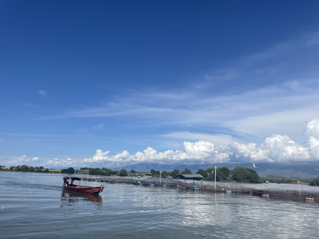 El ICA atiende notificaciones por mortalidad inusual de peces en el embalse de Betania, en el departamento del Huila