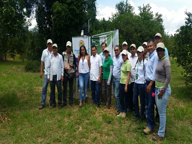 En Tuluá, el ICA y Asohofrucol se articulan técnicamente para mejorar la condición fitosanitaria de los cultivos de frutas